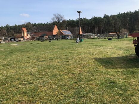 3000 qm Tobewiese 2m hoch eingezäunt
