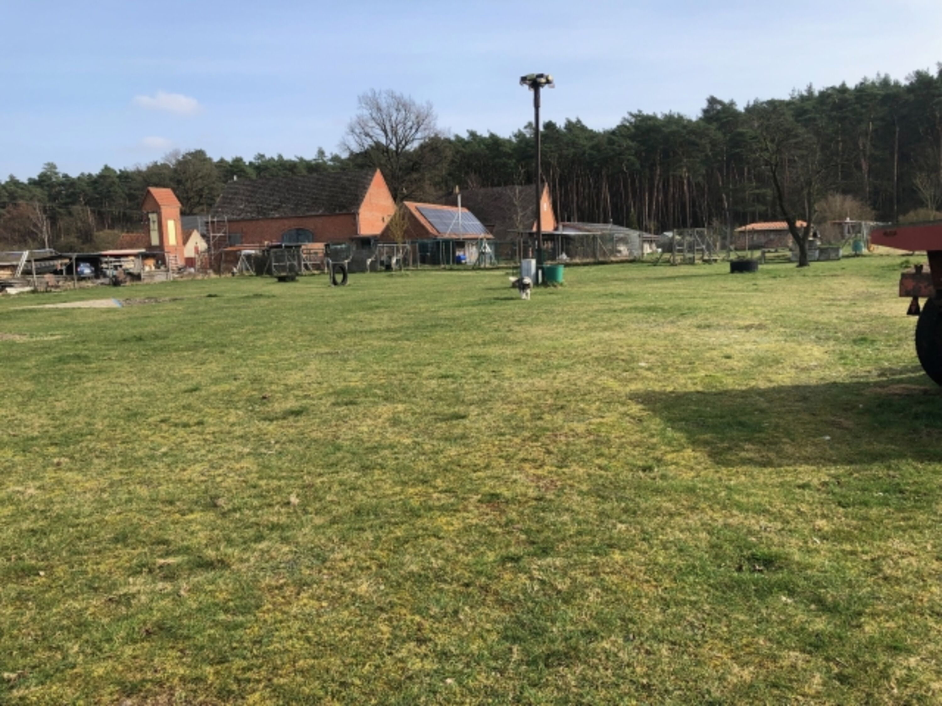 3000 qm Tobewiese 2m hoch eingezäunt