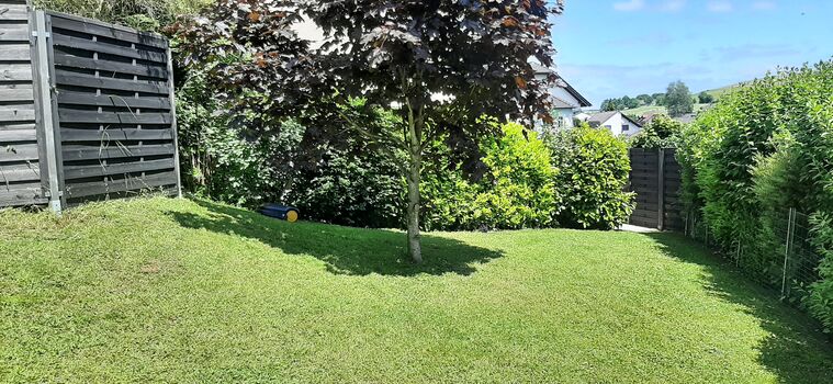 Wiesengrundstück, komplett eingezäunt