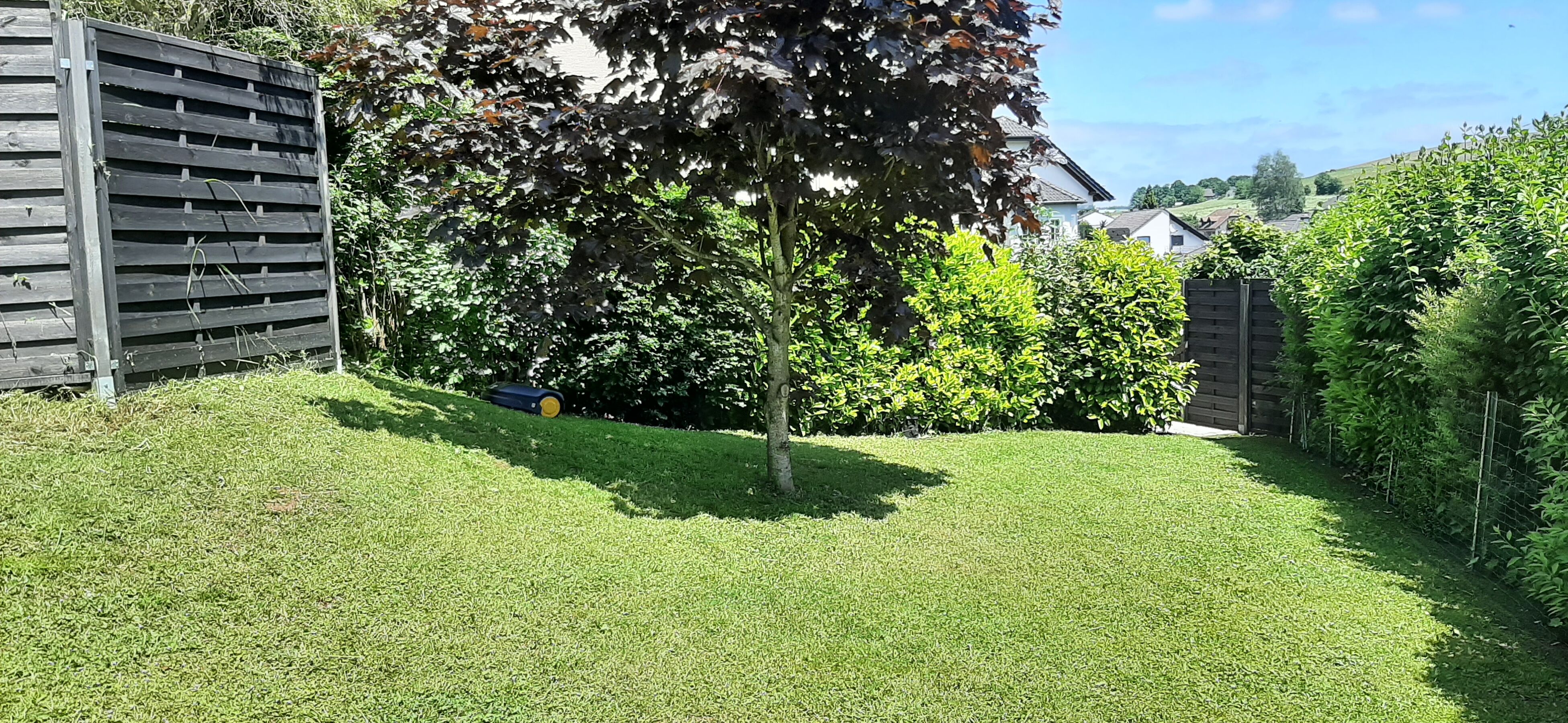 Wiesengrundstück, komplett eingezäunt