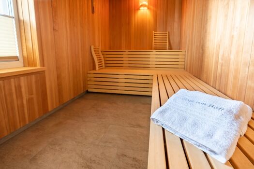 Finnische Sauna im Souterrain