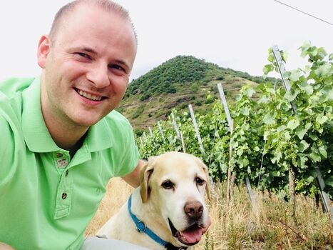 Spazieren in den Weinbergen in 80m