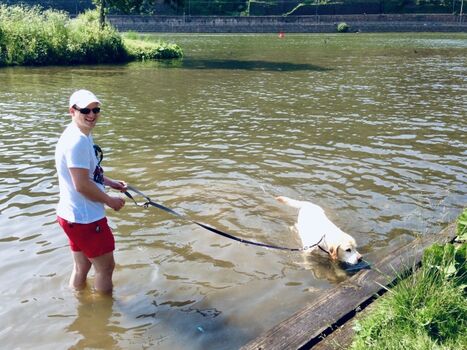 Hundebadestelle am Bachlauf in die Mosel