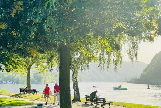Moselpromenade mit Spielplatz, Biergarten und Minigolf nur 200m entfernt inkl. Badestelle für Hunde