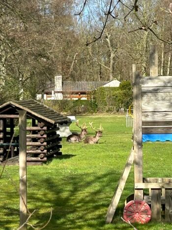 Einzigartiges Park mit Spielplatz