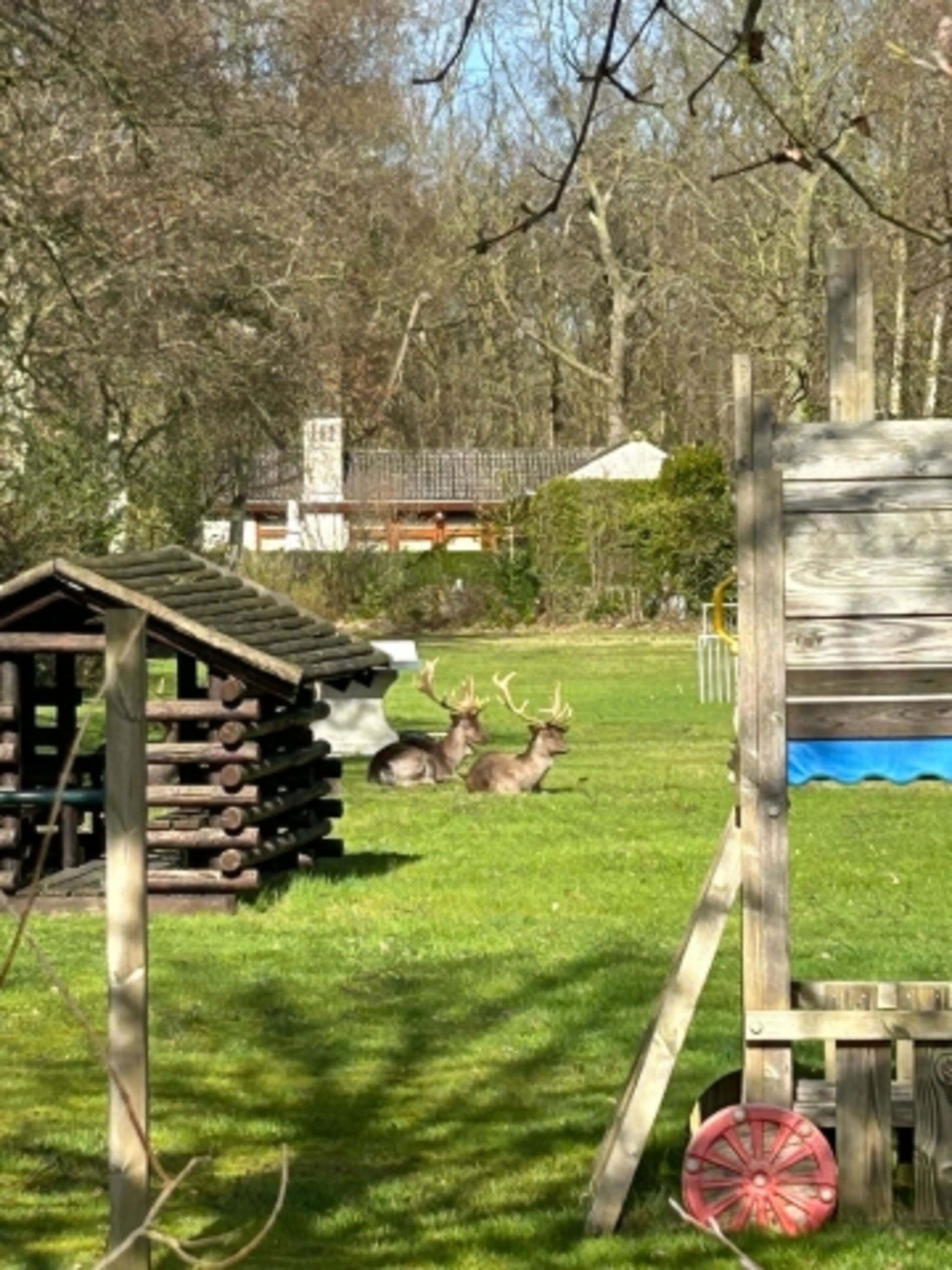 Einzigartiges Park mit Spielplatz