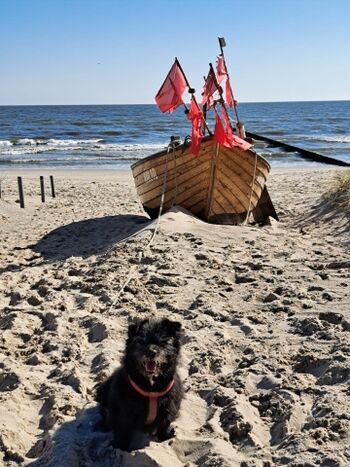 Strand von Stubbenfelde, zum Hundestrand