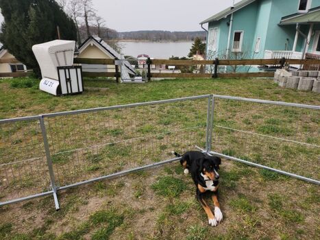 Eingezäunter Bereich, Blick Richtung Kölpinsee