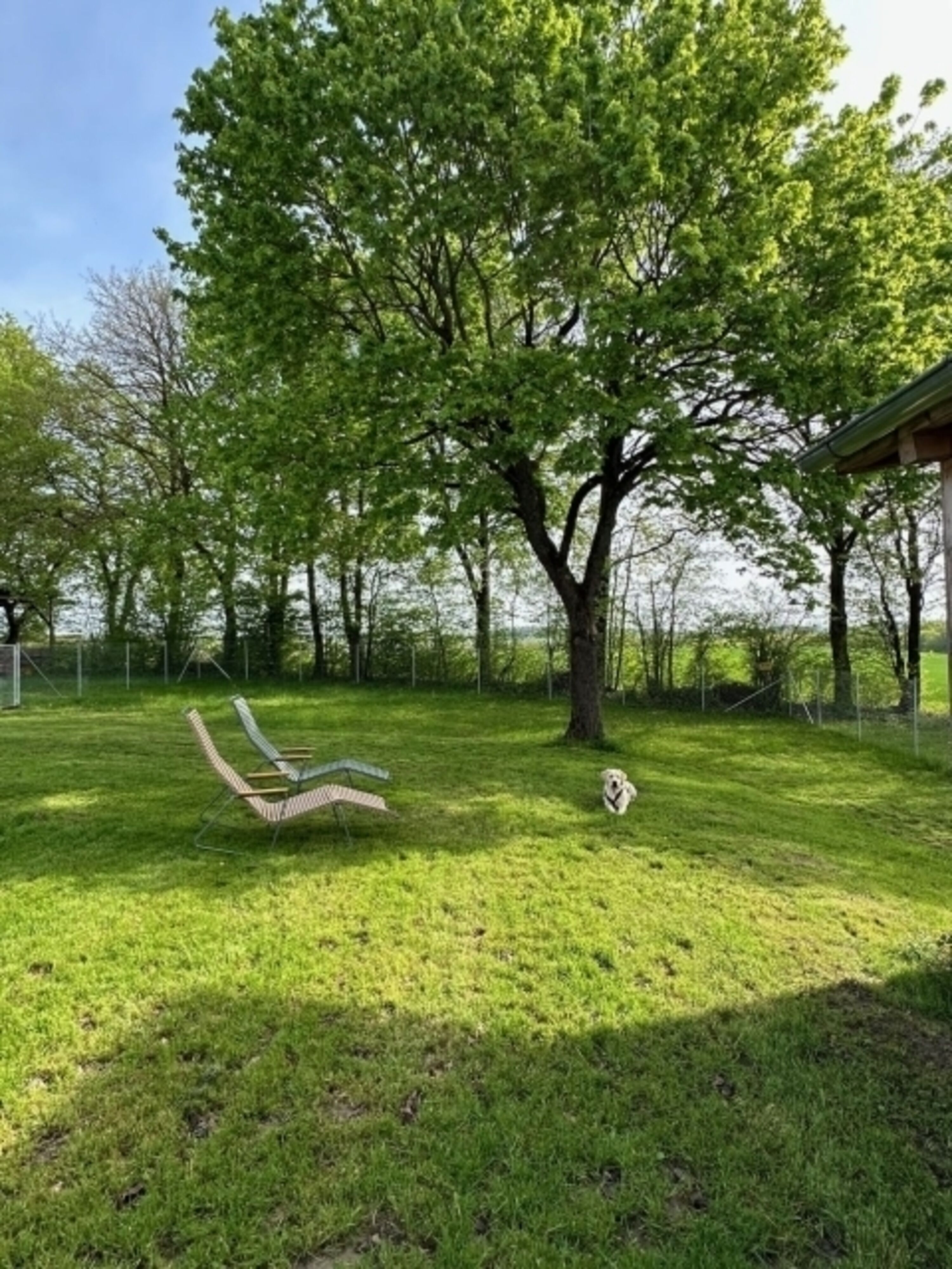 Bild 19