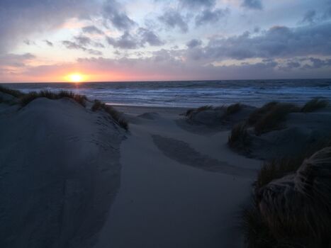 Blick auf den Strand von Neltje Jans
