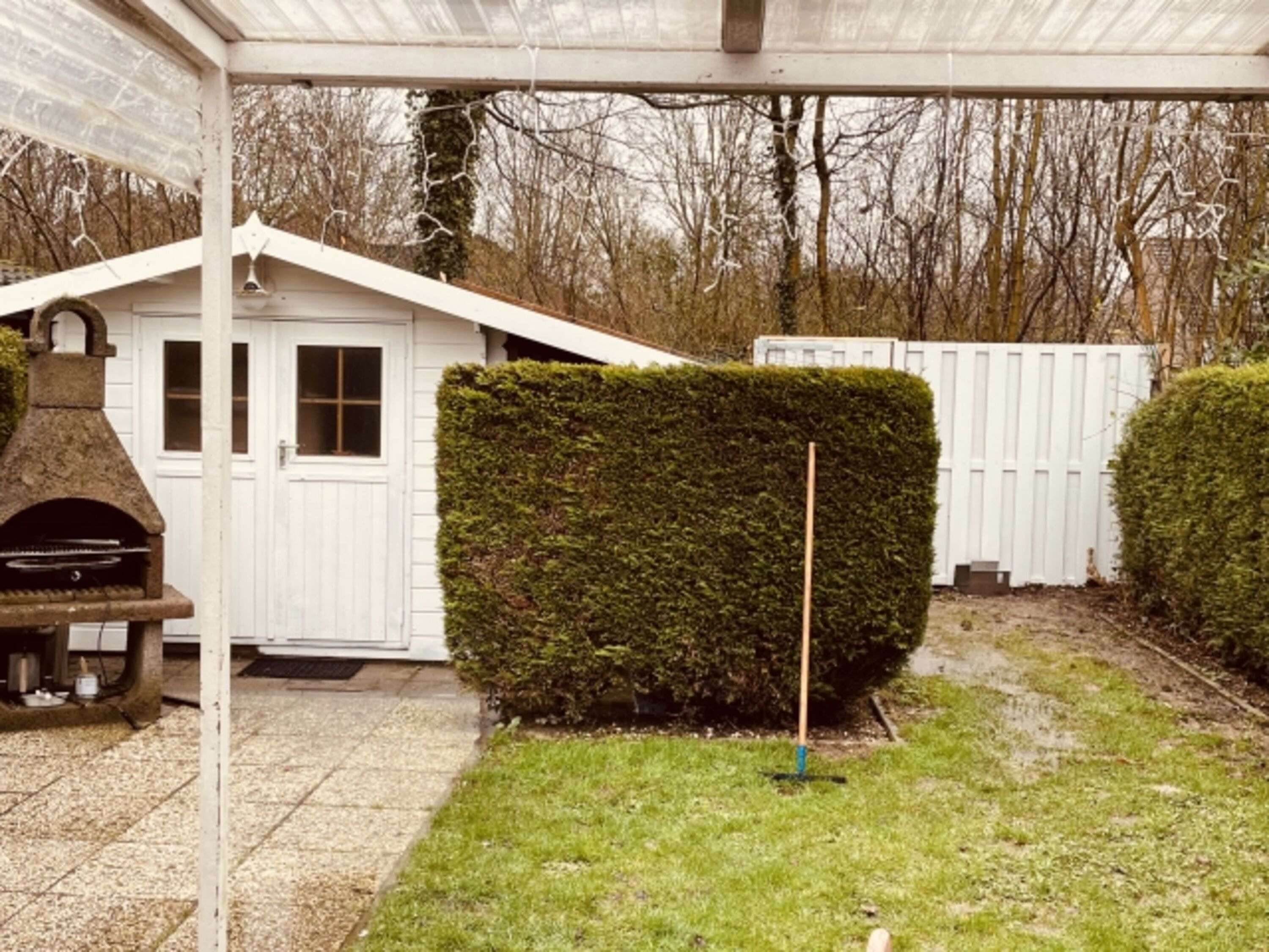 Bild 19