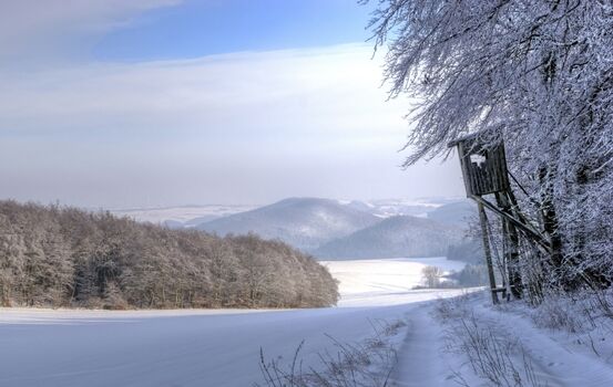 Blick über die stille Winterlandschaft in der Wintersonne