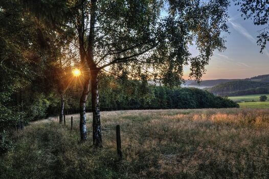 Blick von der Ostseite des Immesberge Richtung Benkhausen im frühen Morgenlicht