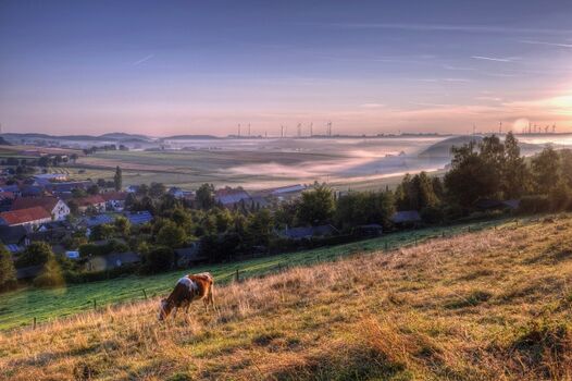 Blick vom Waldrand am Immesberge über Sudeck, Richtung Adorf in der frühen Morgensonne