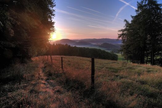 Blick von der Ostseite des Immesberge am frühen Morgen im Sommer