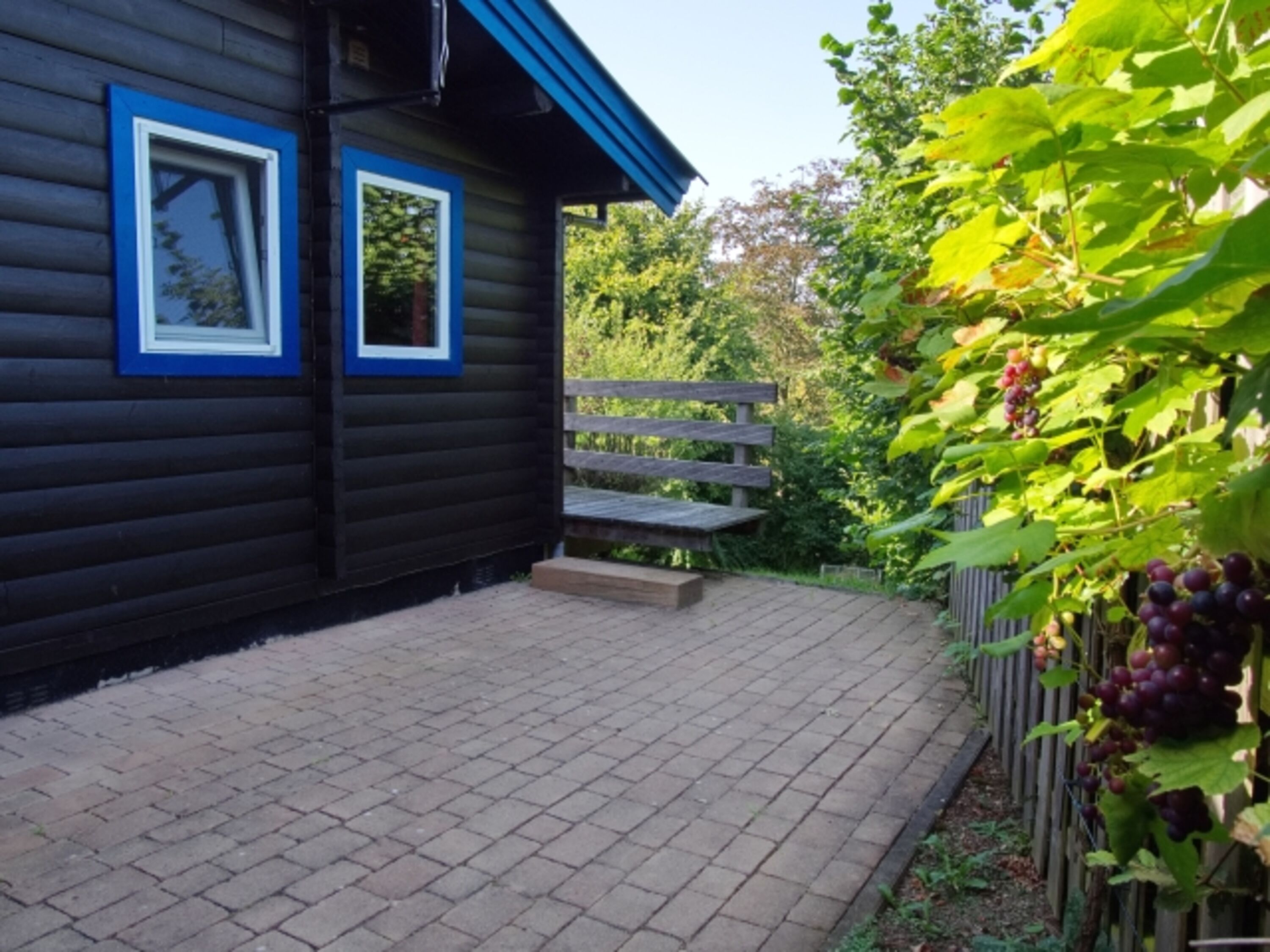 Hintere Terrasse