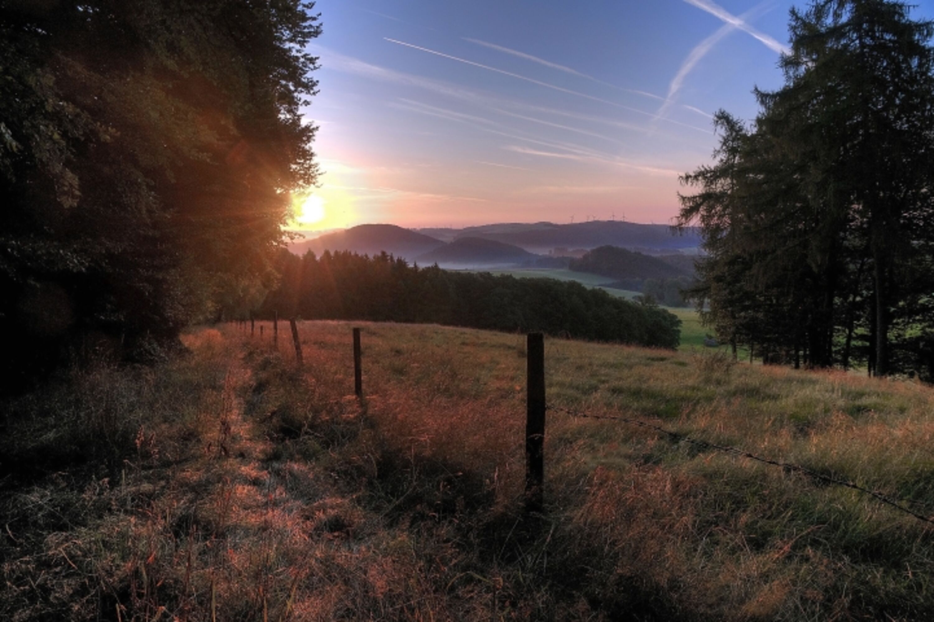 Blick von der Ostseite des Immesberge am frühen Morgen im Sommer