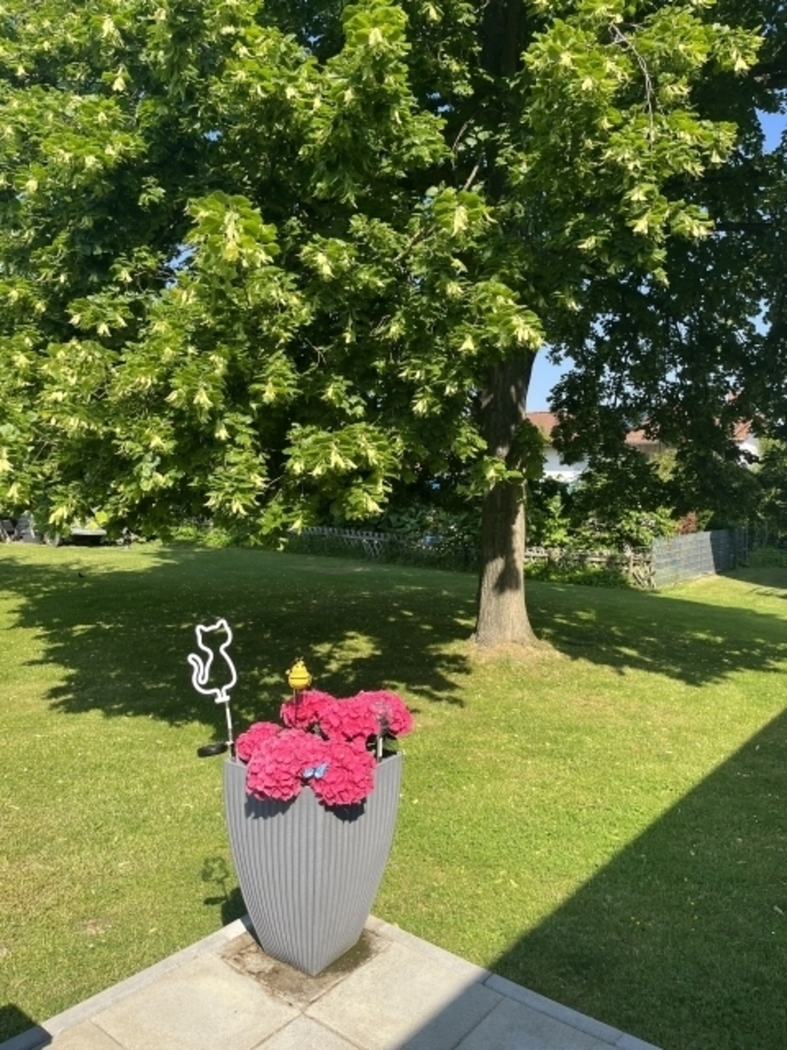 Garten im Sommer