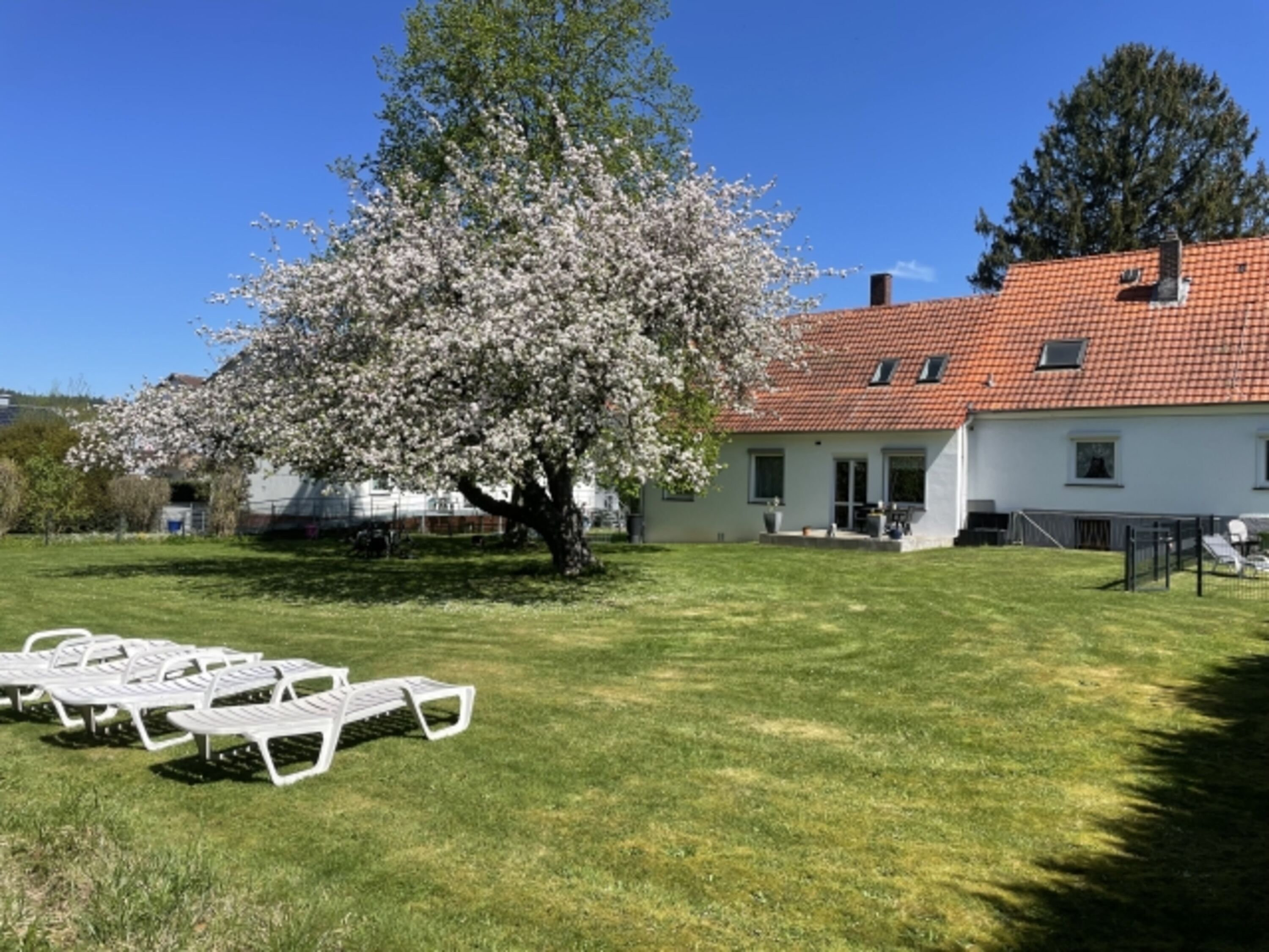 Garten 