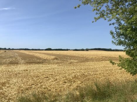 gegenüberliegendes Feld