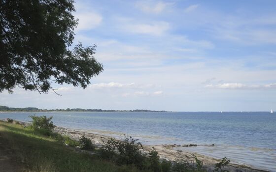 Die Küste in Maasholm.