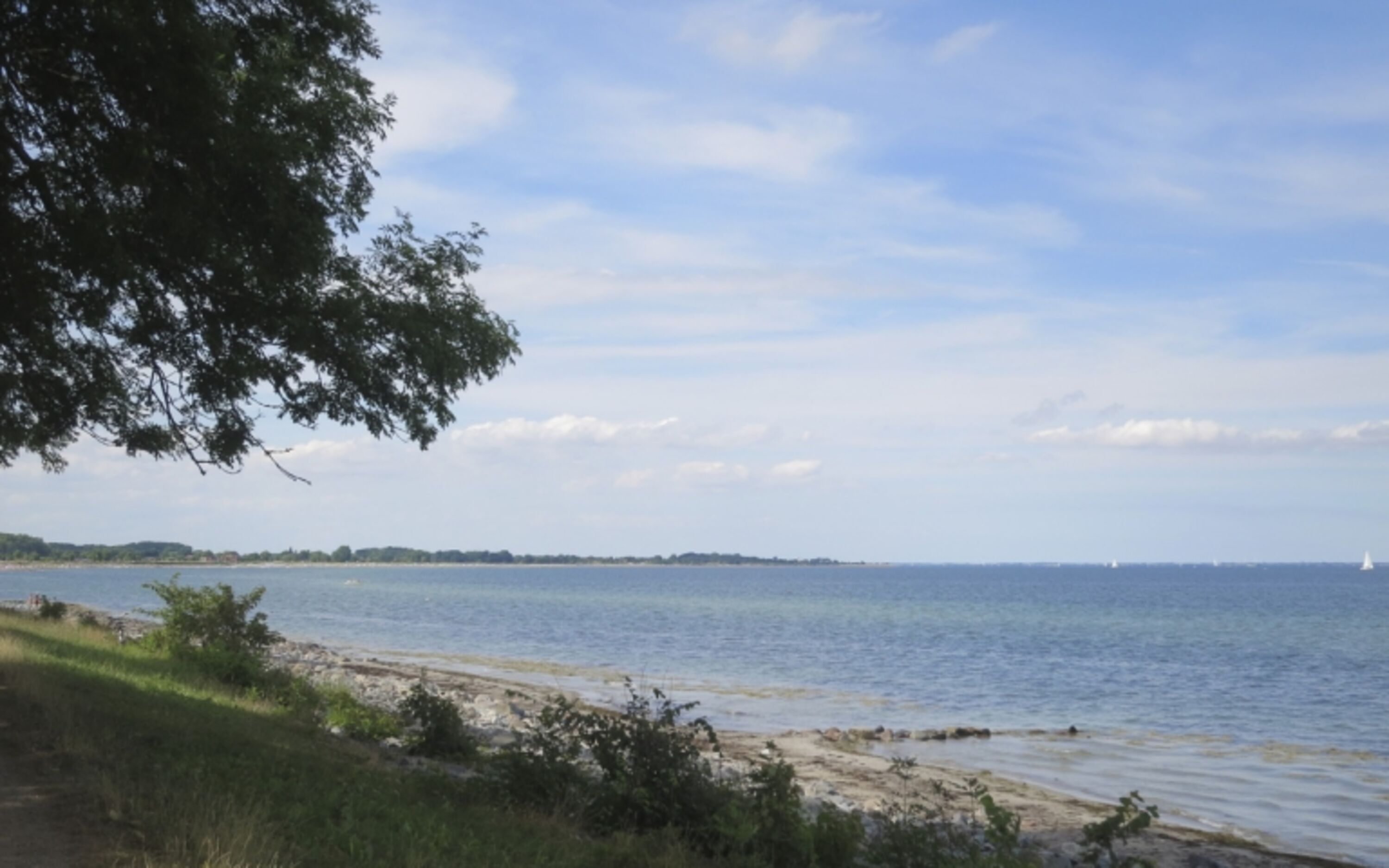 Die Küste in Maasholm.