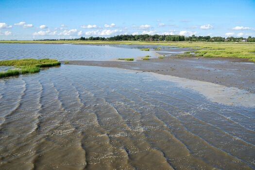 Traumhafte Landschaft in Wobbenbüll