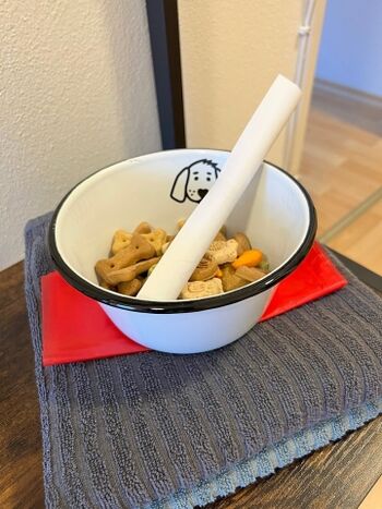 Der Willkommensgruß für den/die 4-Beiner