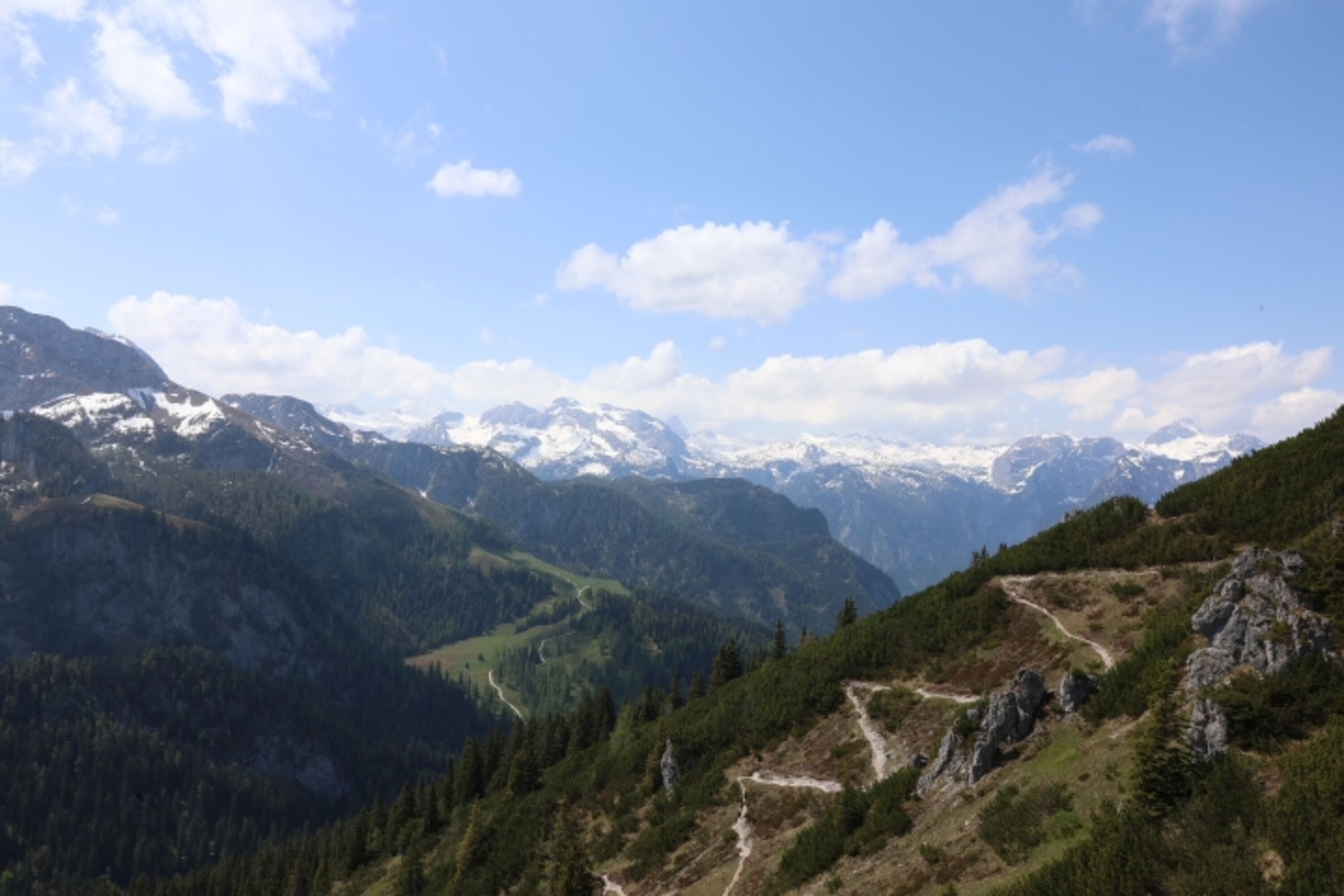 Bild 14
