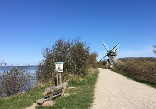 Naturschutzgebiet Geltinger Birk