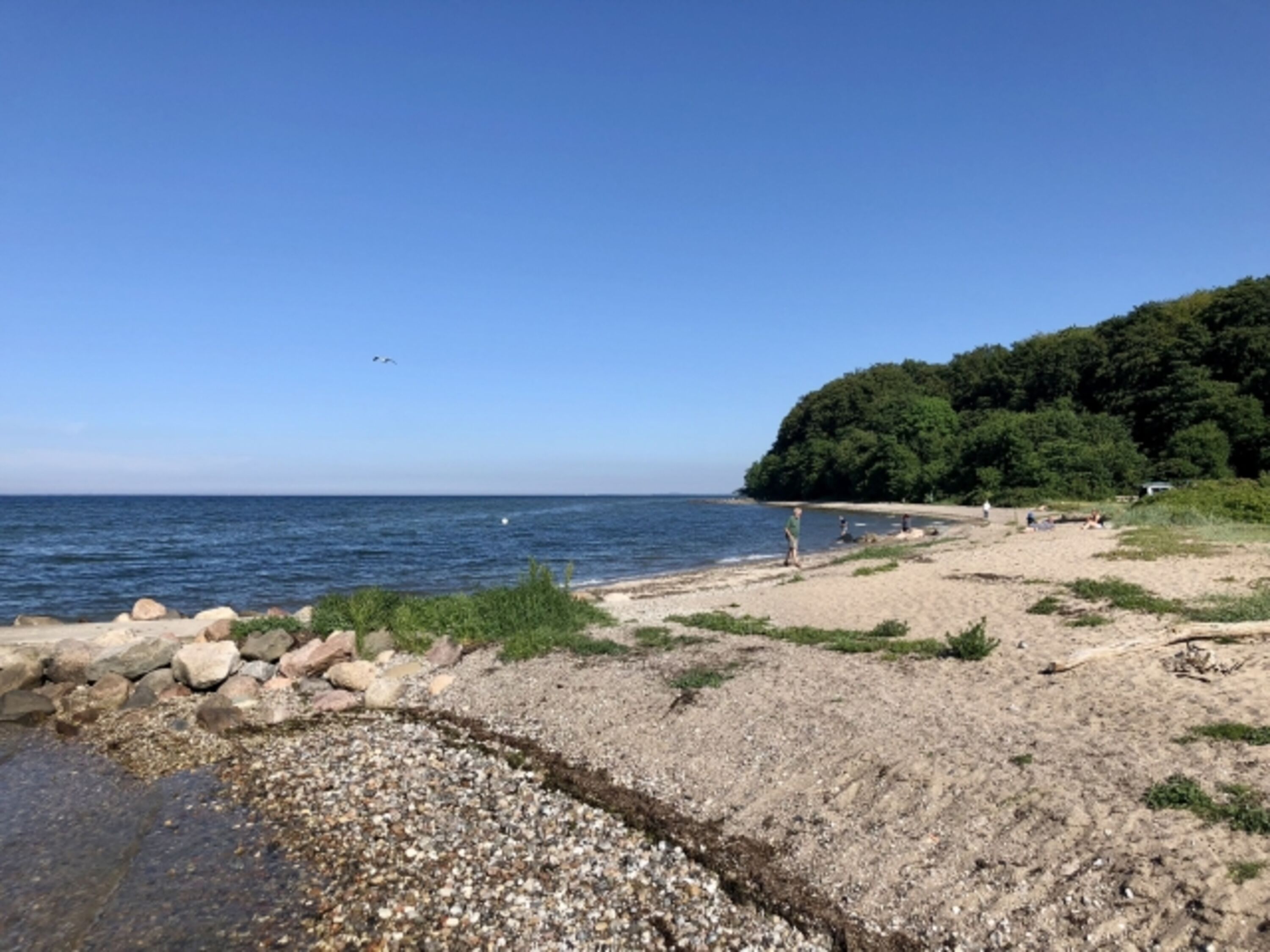 Hundestrand Westerholz (9 km)