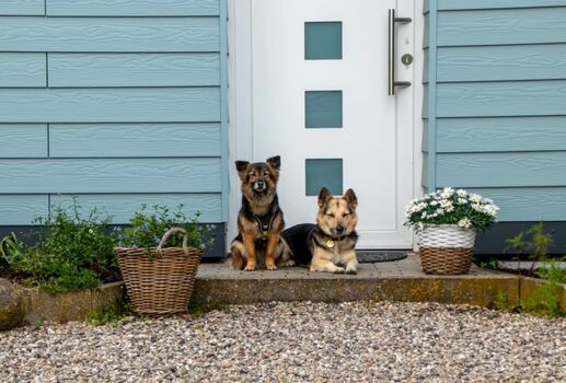 Ferienwohnung Bootsy mit Kaminofen, Terrasse und eingezäunt ...