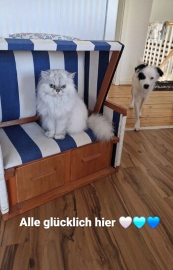 Bewertung mal anders