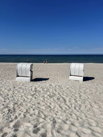 Unsere Strandkörbe am Hundestrand in Sehlendorf