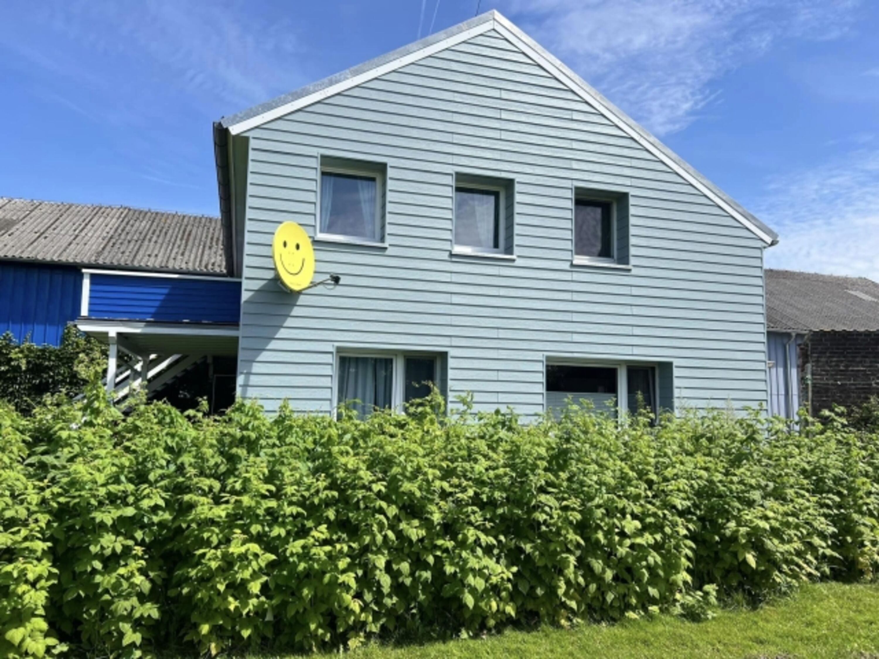 Unsere Himbeerhecke