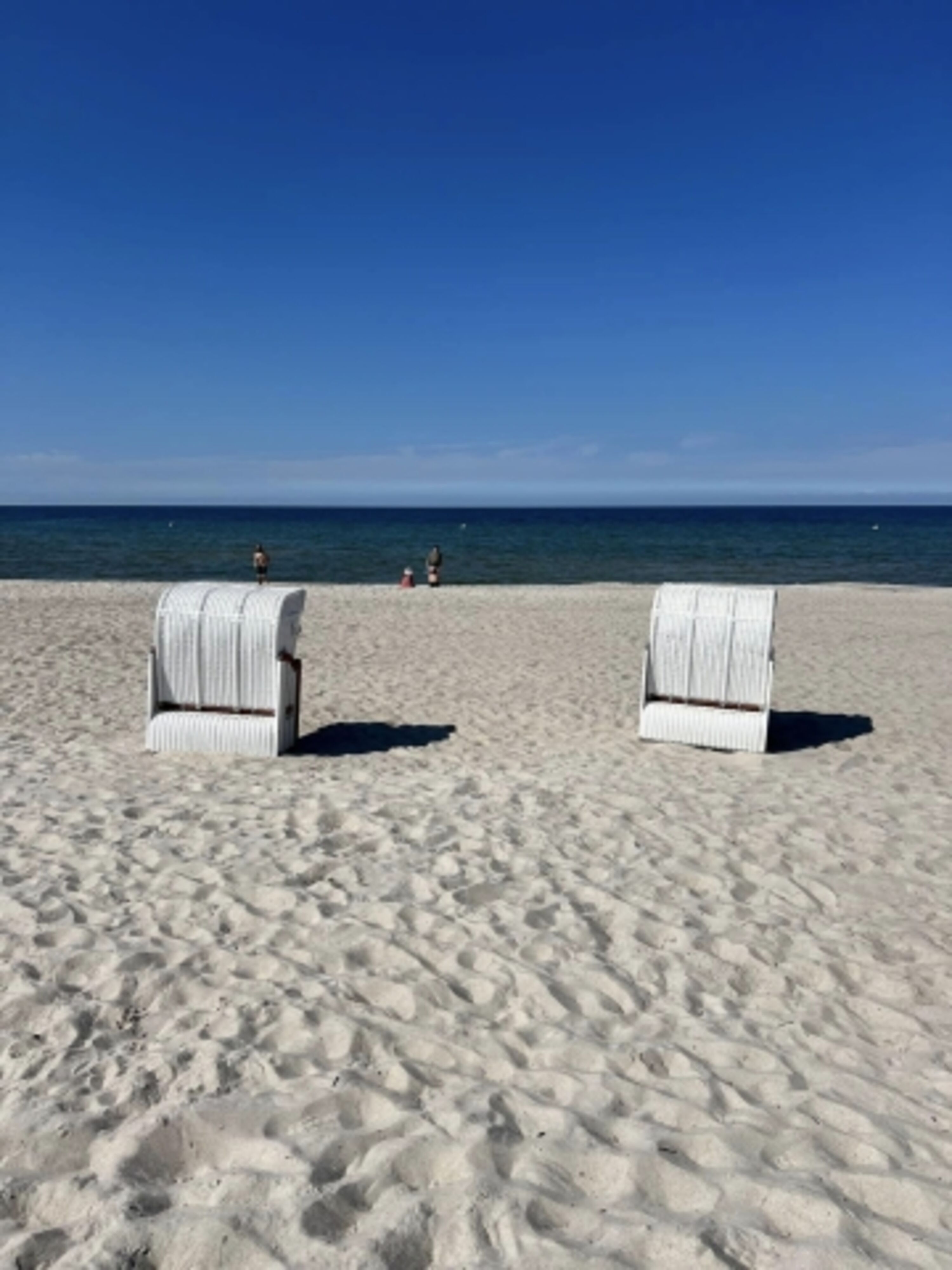 Unsere Strandkörbe am Hundestrand Sehlendorf