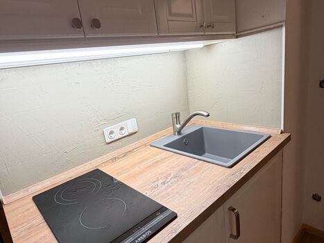 Küchenzeile mit Kühlschrank