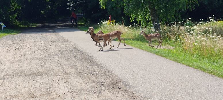 Urlaub im Herzen der Natur