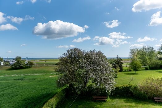 Natur rund ums Haus.