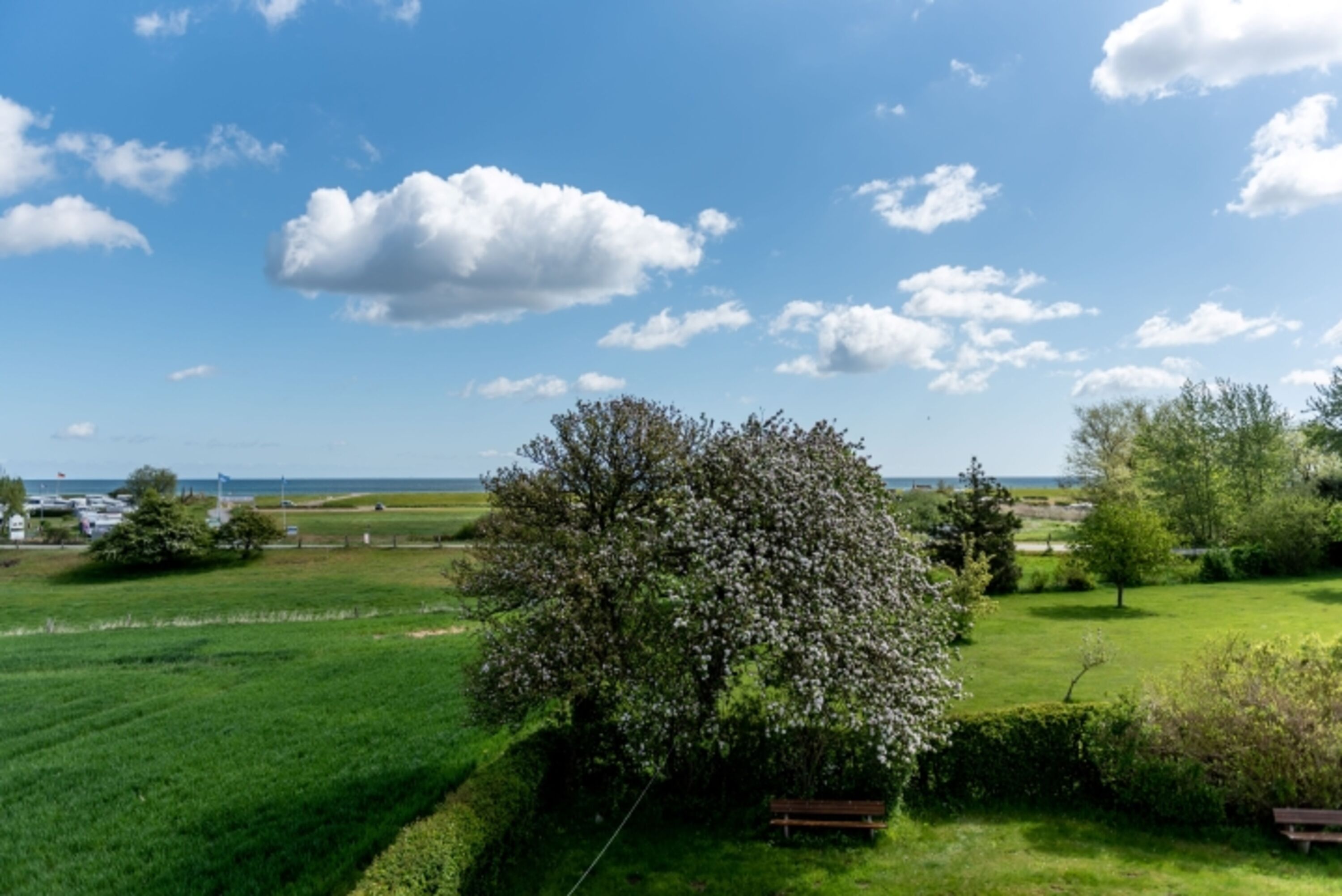 Natur rund ums Haus.