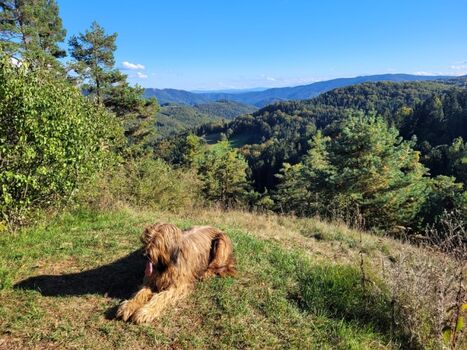 Wunderschöne Wanderwege rund um das Ferienhaus