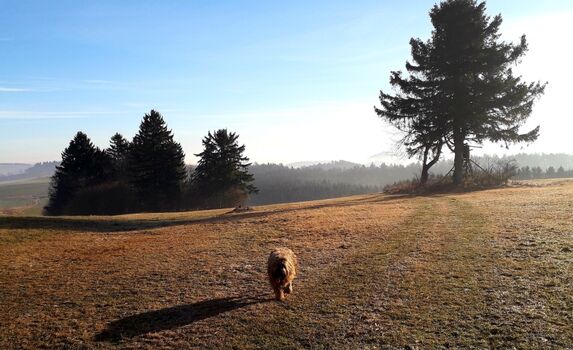 Laufen nach Herzenslust - im Waldviertel kein Problem - auch im Herbst!