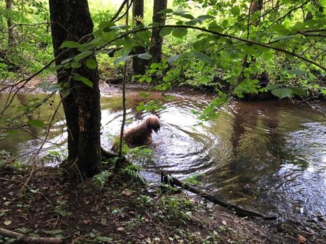 Und danach ein Bad im Bach....