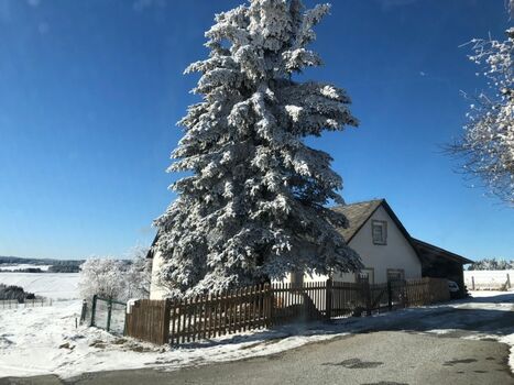 Ferienhaus Plessberg - auch im Winter eine Reise wert