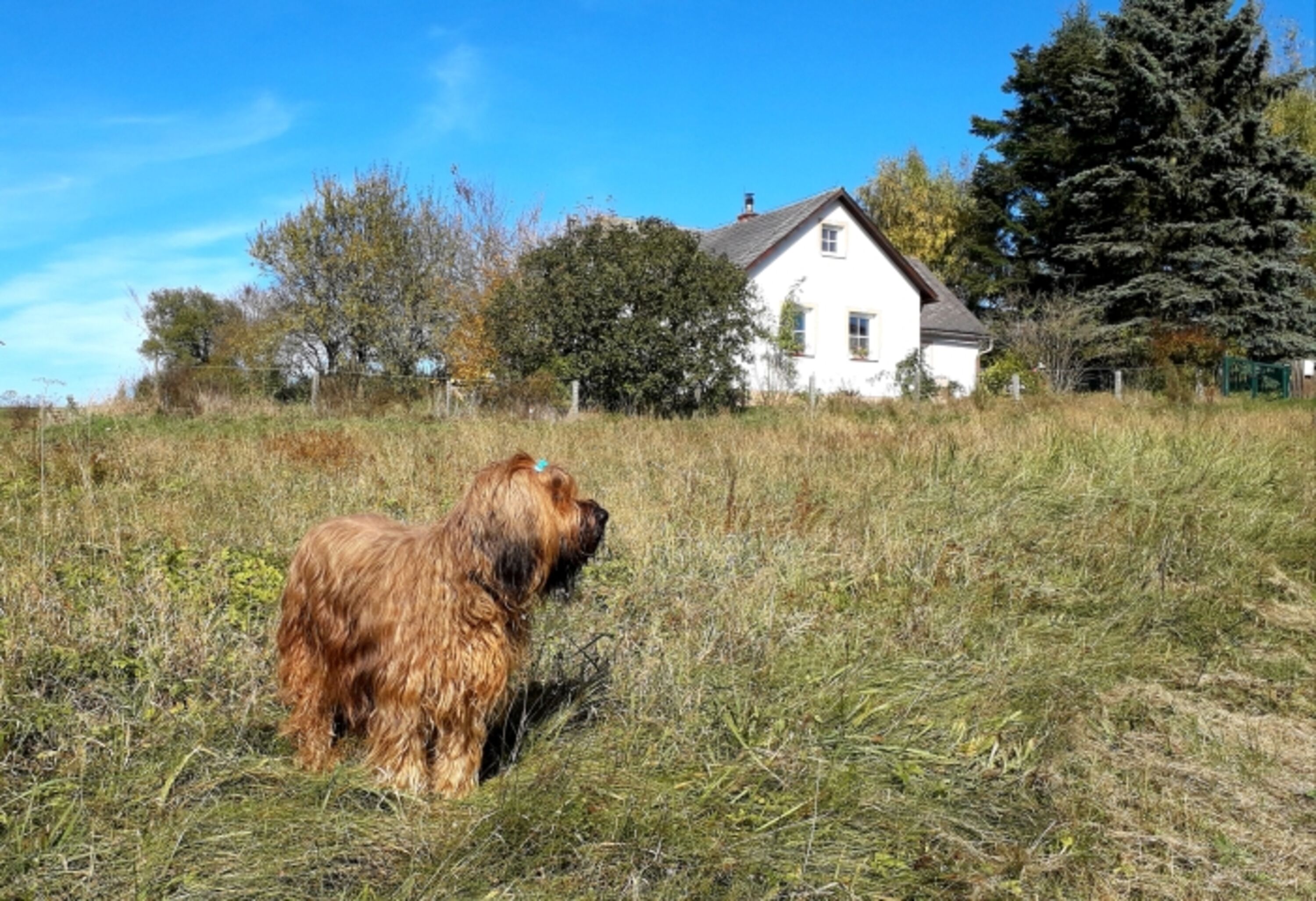 Herbst in Plessberg