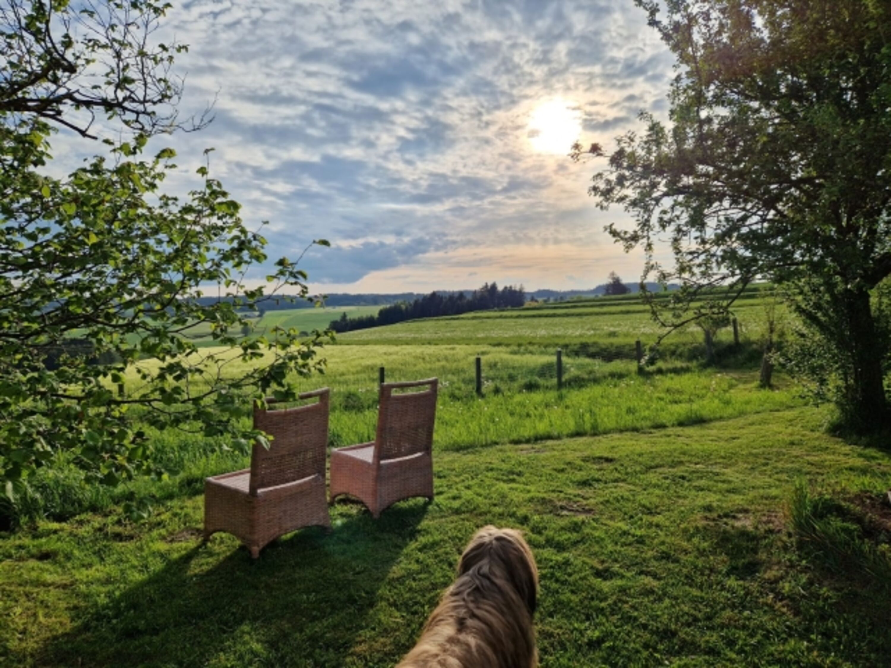 Hundeparadies Waldviertel - Entspannung im Ferienhaus Plessberg