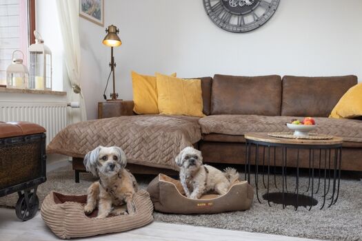 Wir lieben Hunde, Sie auch?