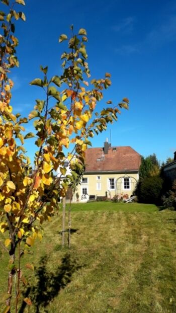 Herbst im Garten der Ferienvilla