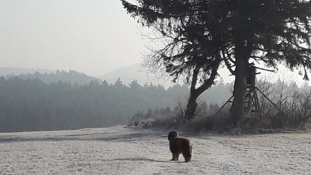 Auch Winterwandern macht Spaß!