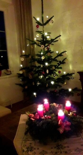 Das Ferienhaus ist immer der Jahreszeit entsprechend geschmückt - wie hier mit einem Waldviertler BIO Christbaum (Weihnachten 2024)